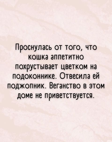 Проснулась от того что кошка аппетитно похрустывает цветком на подоконнике Отвесила ей поджопник Веганство в этом доме не приветствуется