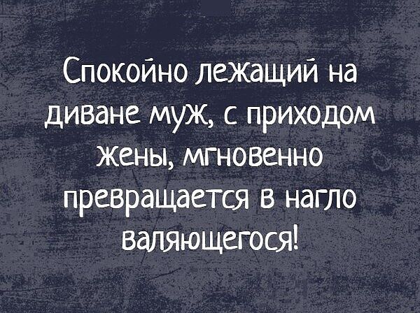 Спокойно лежащий на диване муж с приходом жены мгновенно превращается в нагло валяюЩегося