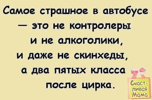 Самое страшное в автобусе это не контролеры и не алкоголики и даже не скинхеды два пятых класса после цирка