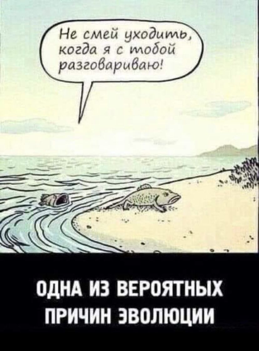 Не смси Чходцмо когда ч щпбпн разгобцрыопт ОДНА ИЗ ВЕРОЯТНЫХ ПРИЧИН ЭВОЛЮЦИИ