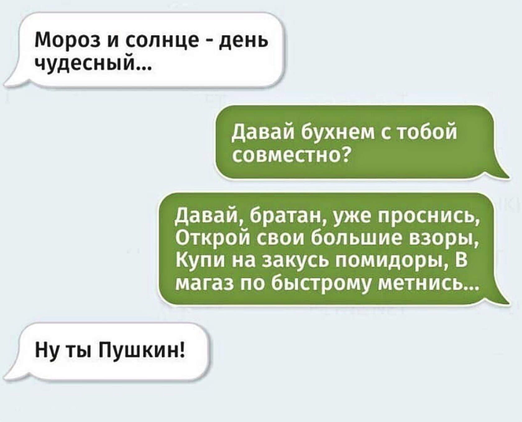 Морози опиц еиь чудесны _ давай бухием тобой совместно давай братан уже проснись Открои свои большие взоры Купи на закусь помидоры В магаз по быстрому метить Ну ты Пушкин