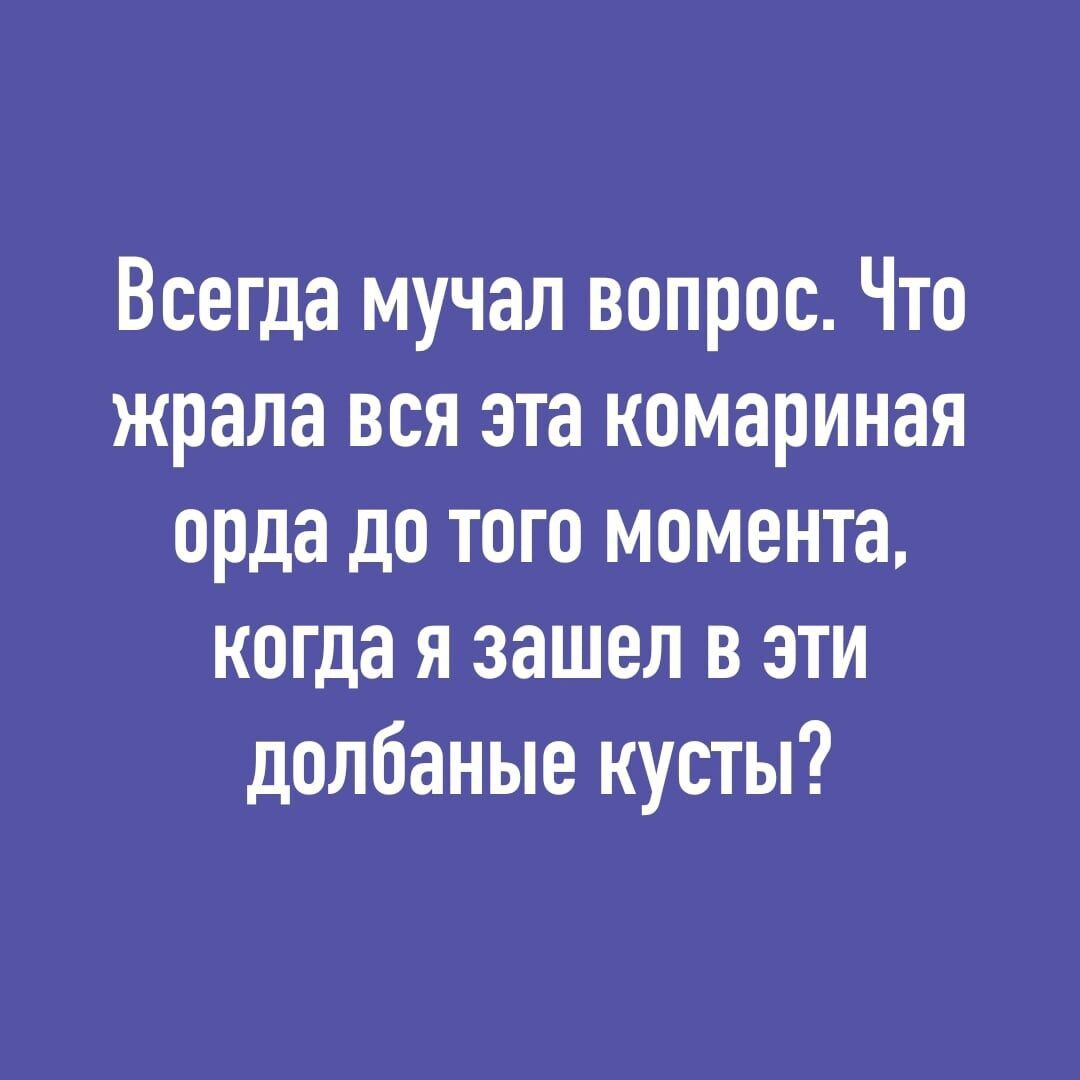 Всегда мучал вопрос Что жрала вся эта комариная орда до того момента когда я зашел в эти долбаные кусты