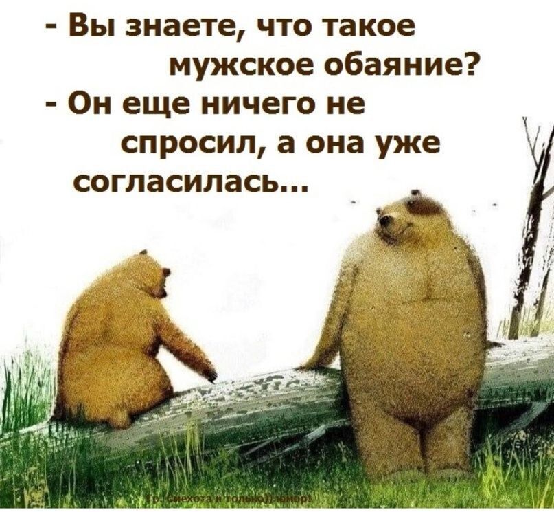 Вы знаете что такое мужское обаяние Он еще ничего не спросил а она уже согласилась