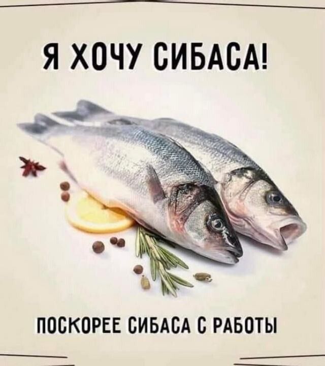 Я ХОЧУ СИБАСА рес чеа