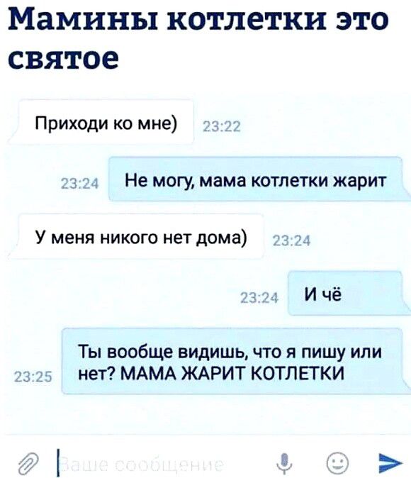 Мамины котлетки это святое Приходи ко мне Не могу мама котлетки жарит У меня никого нет дома ичё Ты вообще видишь что я пишу или нет МАМА ЖАРИТ КОТЛЕТКИ