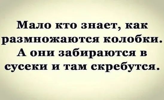 Мало кто знает как размножаются колобки А они забираются в сусеки и там скребутся