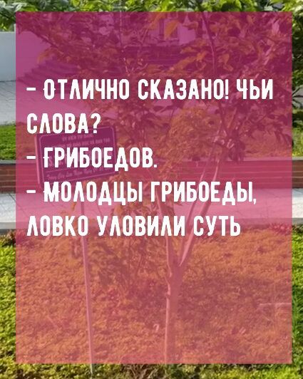 ОТЛИЧНО СКАЗАНО ЧБИ СЛОВА а пивовдов ЛОДЦЫ гржжы КО УЛОВИЛ