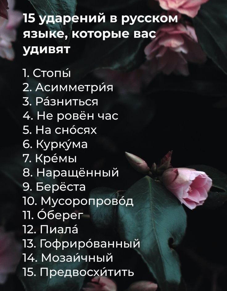 15 ударений в русском языке которые вас 4 удивят а 3 1 Стопы 2 Асимметрия 3 Разниться 4 Не ровён час 5 На снбсях 6 Куркума 7 Крёмы ч 8 Наращённый 9 Берёста 10 Мусоропровод П Оберег ь 12 Пиала 13 Гофрирбванный 14 Мозайчный 15 Предвосхитить