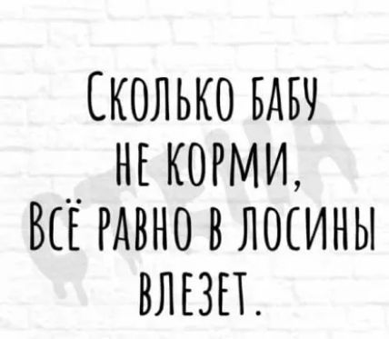 СКОЛЬКО БАЕУ _ НЕКОРМИ СЕ РАВНО В ЛОСИНЫ УЛЕЗЕТ