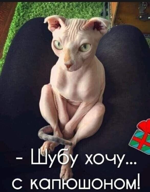 убу хОЧу ё Ё копЁошоном