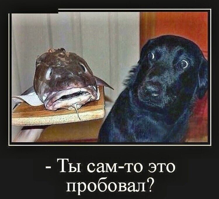 Ты сам то это пробовал