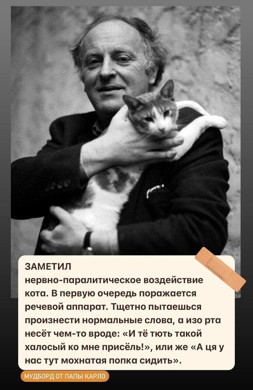 ЗАМЕТИЛ нервно паралитическое воздействие кота В первую очередь поражается речевой аппарат Тщетно пытаешься произнести нормальные слова а изо рта несёт чем то вроде И тё тють такой халосый ко мне присёль или же А ця у нас тут мохнатая попка сидить