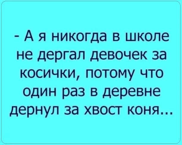 Ая никогда в школе не дергал девочек за косички потому что один раз в деревне дернул за хвост коня