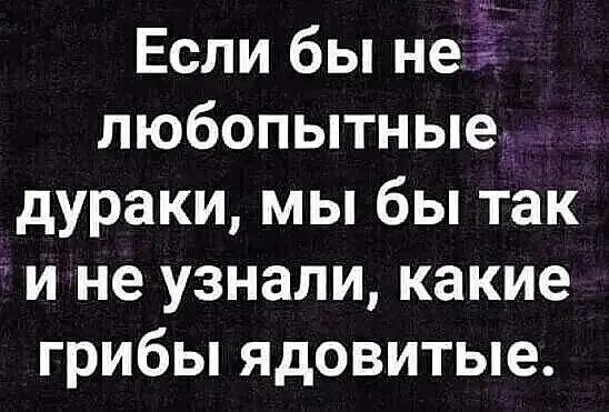 Если бы не любопытные дураки мы бы так ине узнали какие грибы ядовитые