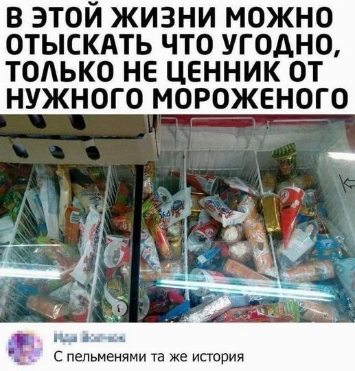 В ЭТОЙ ЖИЗНИ МОоЖНО ОТЫСКАТЬ ЧТО УГОДНО ТОЛЬКО НЕ ЦЕННИК ОТ НУЖНОГО МОРОЖЕНОГО Г Эй С пельменями та же история