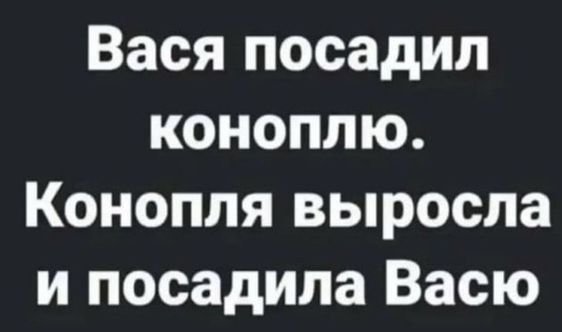 Вася посадил коноплю Конопля выросла и посадила Васю