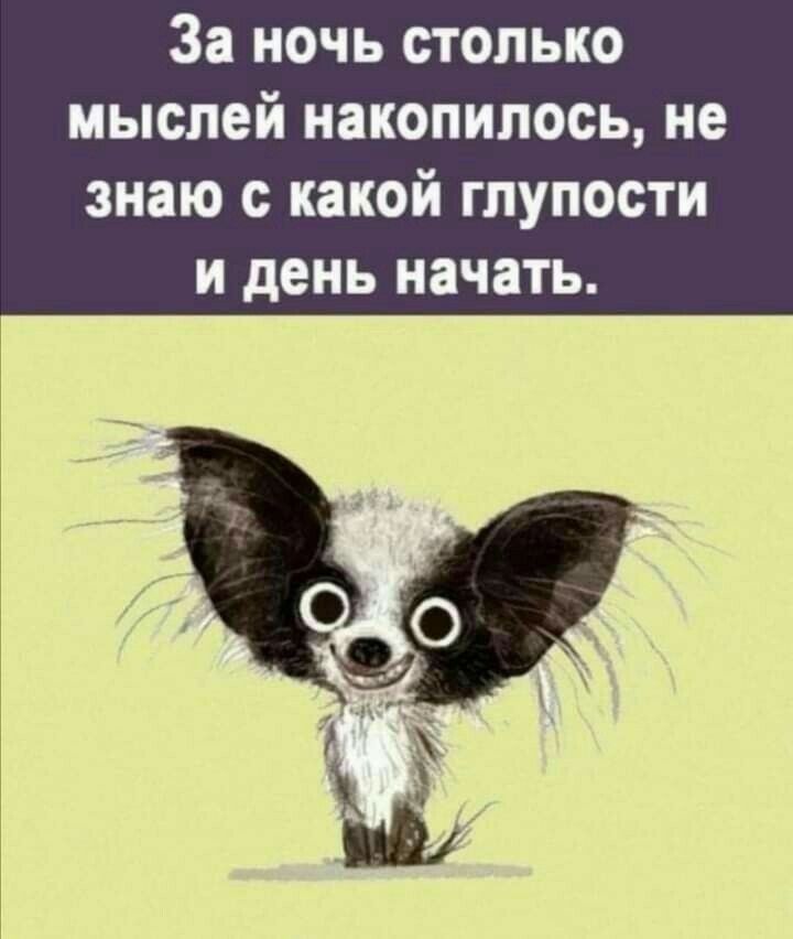 За ночь столько мыслей накопилось не знаю с какой глупости и день начать