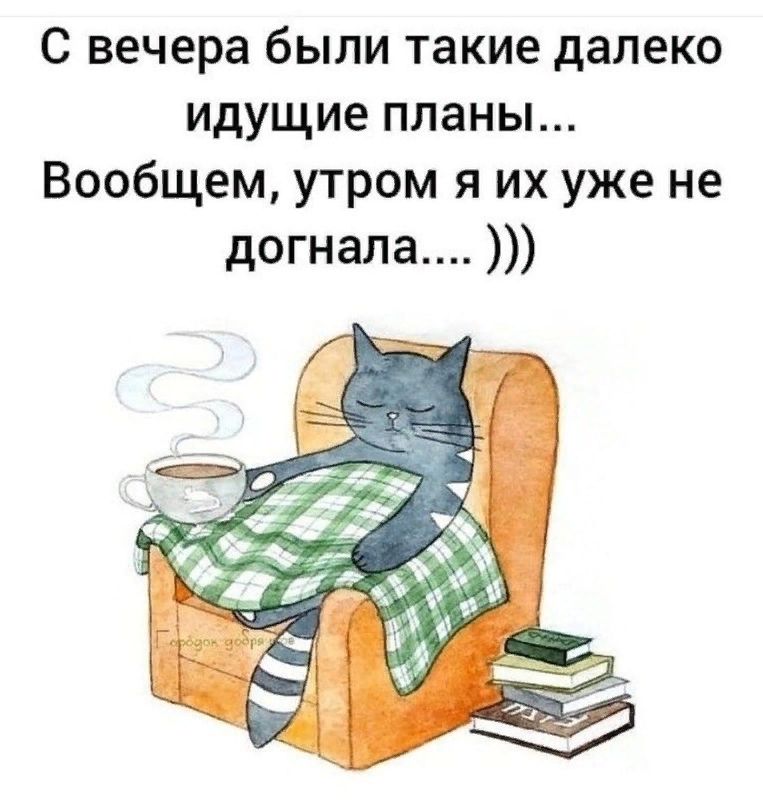 С вечера были такие далеко идущие планы Вообщем утром я их уже не догнала