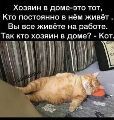 Хозяин в доме это тот Кто постоянно в нём живёт Вы все живёте на работе Так кто хозяин в доме Кот ныт ТА