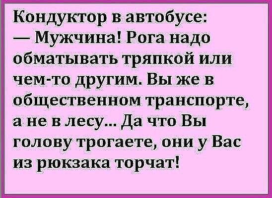 Кондуктор в автобусе Мужчина Рога надо обматывать тряпкой или чем то другим Вы же в общественном транспорте а не в лесу Да что Вы голову трогаете они у Вас из рюкзака торчат