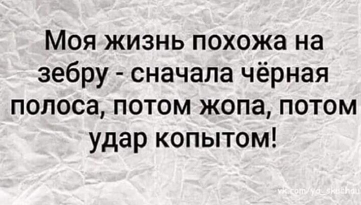 Моя жизнь похожа на зебру сначала чёрная полоса потом жопа потом удар копытом