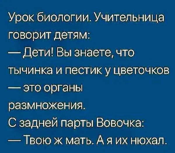 Урок биологии Учительница говорит детям Дети Вы знаете что тычинка и пестик у цветочков это органы размножения С задней парты Вовочка Твою ж мать А я их нюхал