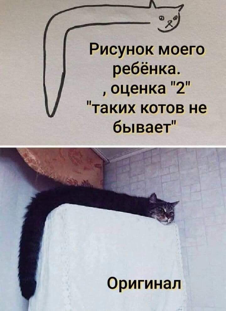 Рисунок моего ребёнка оценка 2 таких котов не бывает Оригинал