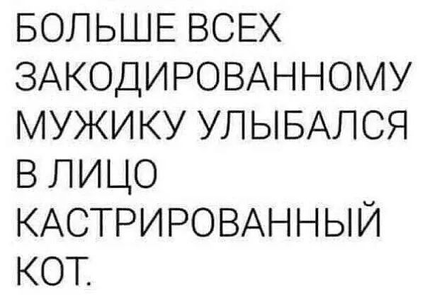 БОЛЬШЕ ВСЕХ ЗАКОДИРОВАННОМУ МУЖИКУ УЛЫБАЛСЯ В ЛИЦО КАСТРИРОВАННЫЙ КОТ