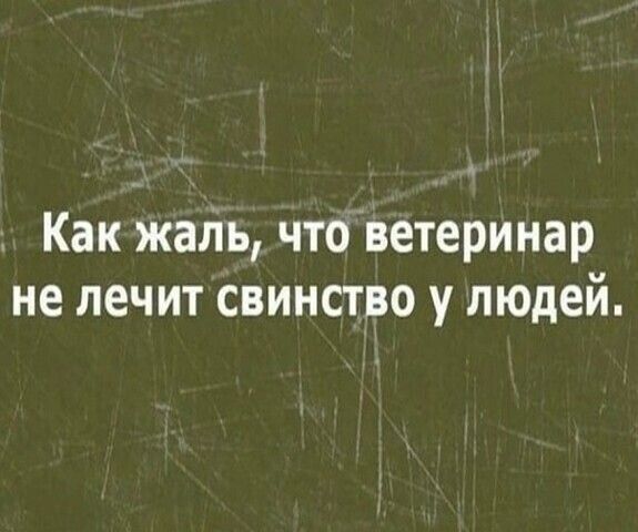 Как жаль что ветеринар не лечит свинство у людей