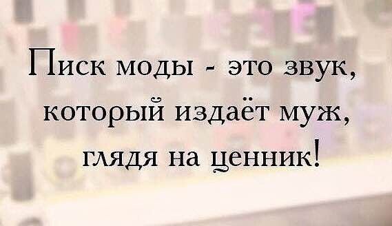 Писк моды это звук который издаёт муж тлядя на ЦЕННИК