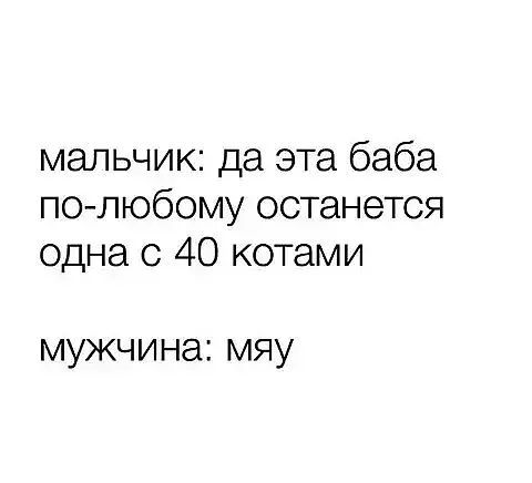 мальчик да эта баба по любому останется одна с 40 котами мужчина мяу