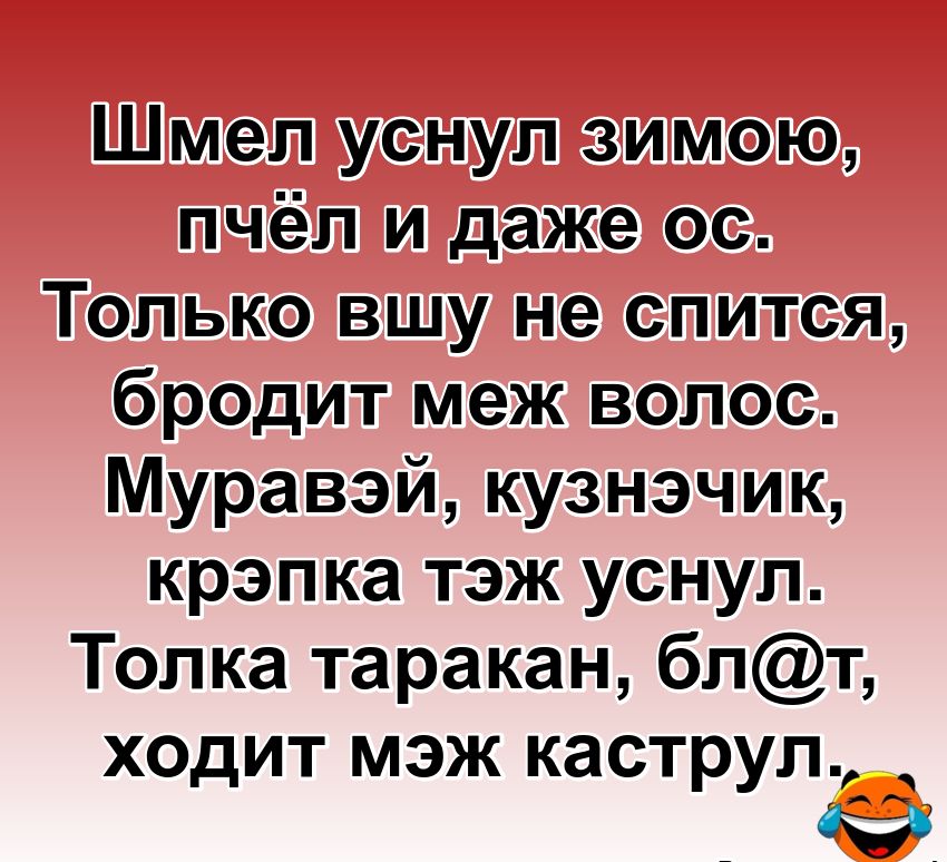 Шметуснутзимою пчетлидажеюос Только вшулне спится бродит меж волос Муравэй кузнэчик крэпка тэж уснул Толка таракан блт ходит мэж каструл