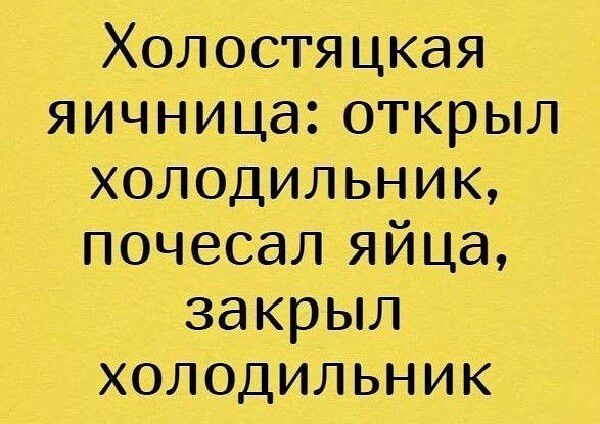 Холостяцкая яичница открыл холодильник почесал яйца закрыл холодильникК