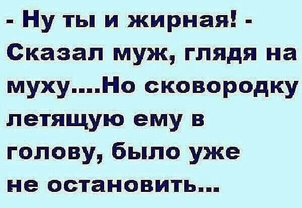 Ну ты и жирная Сказал муж глядя на мухуНо сковородку летящую ему в голову было уже не остановить