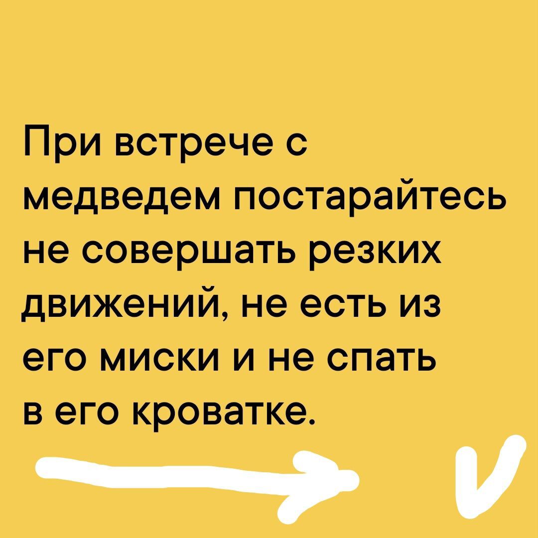 При встрече с медведем постарайтесь не совершать резких движений не есть из его миски и не спать в его кроватке И