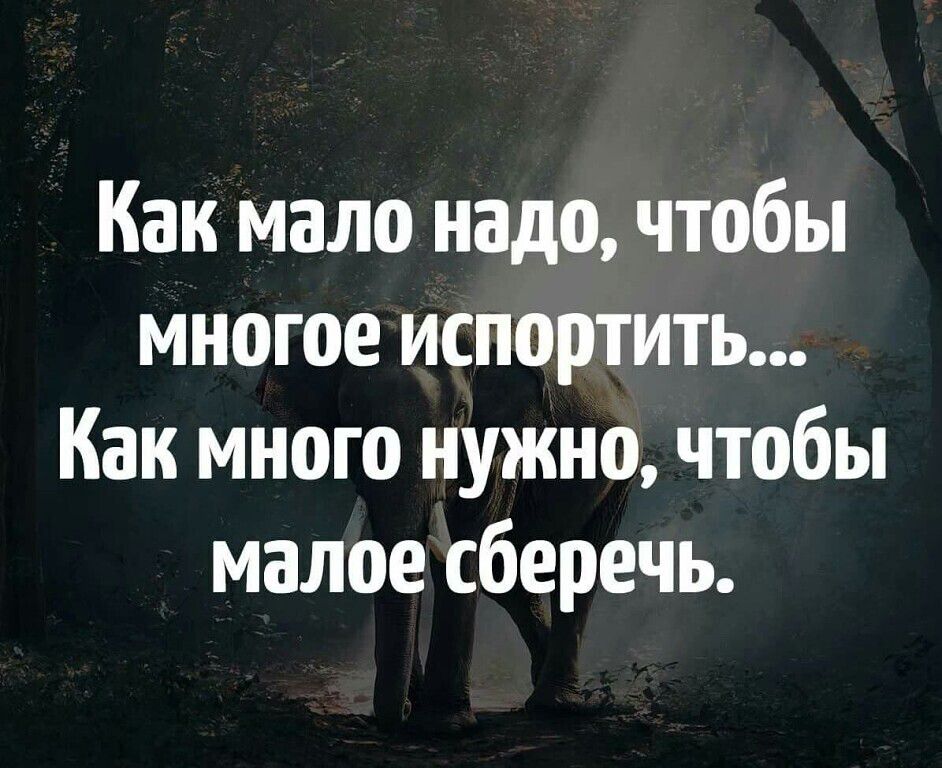 Как мало надо чтобы многое испортить Как много нужно чтобы малое сберечь