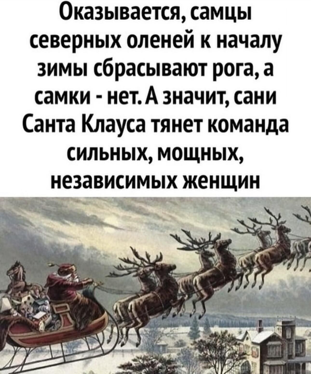 Оказывается самцы северных оленей к началу зимы сбрасывают рога а самки нет А значит сани Санта Клауса тянет команда СИЛЬНЫХ МОЩНЫХ независимых женщин