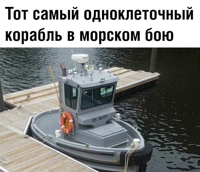 Тот самый одноклеточный корабль в морском бою