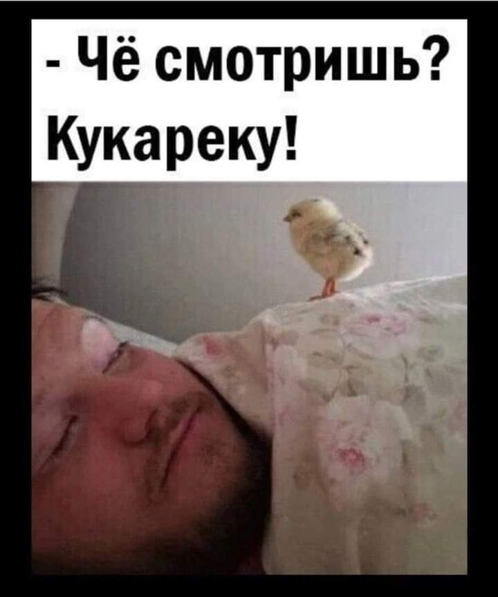 Чё смотришь Кукареку 5 _ е о