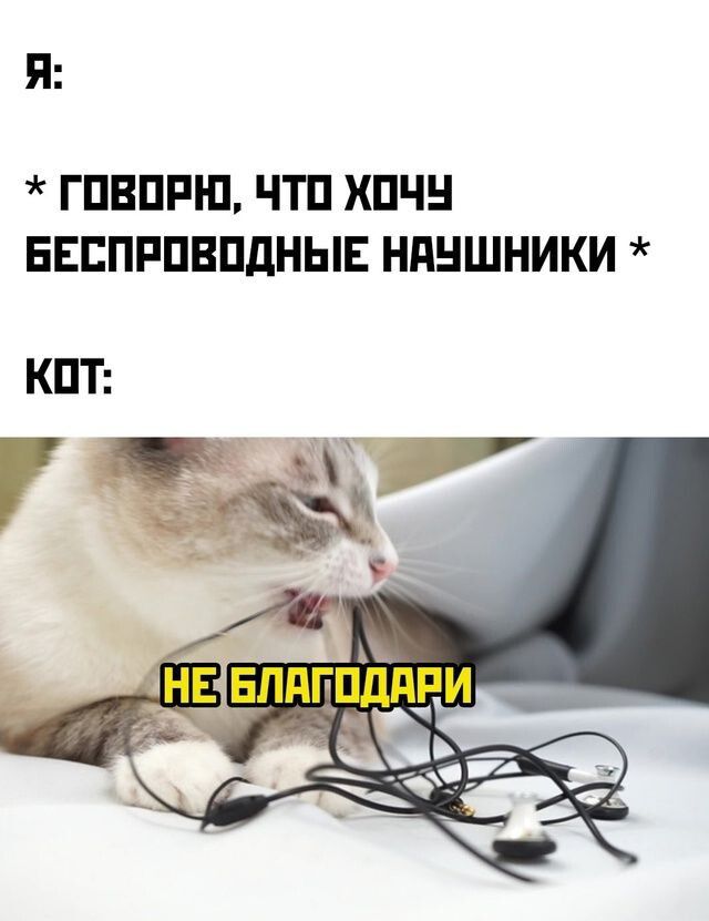 ГОВОРЮ ЧТО ХОЧУ БЕСПРОВОДНЫЕ НАУШНИКИ КОТ