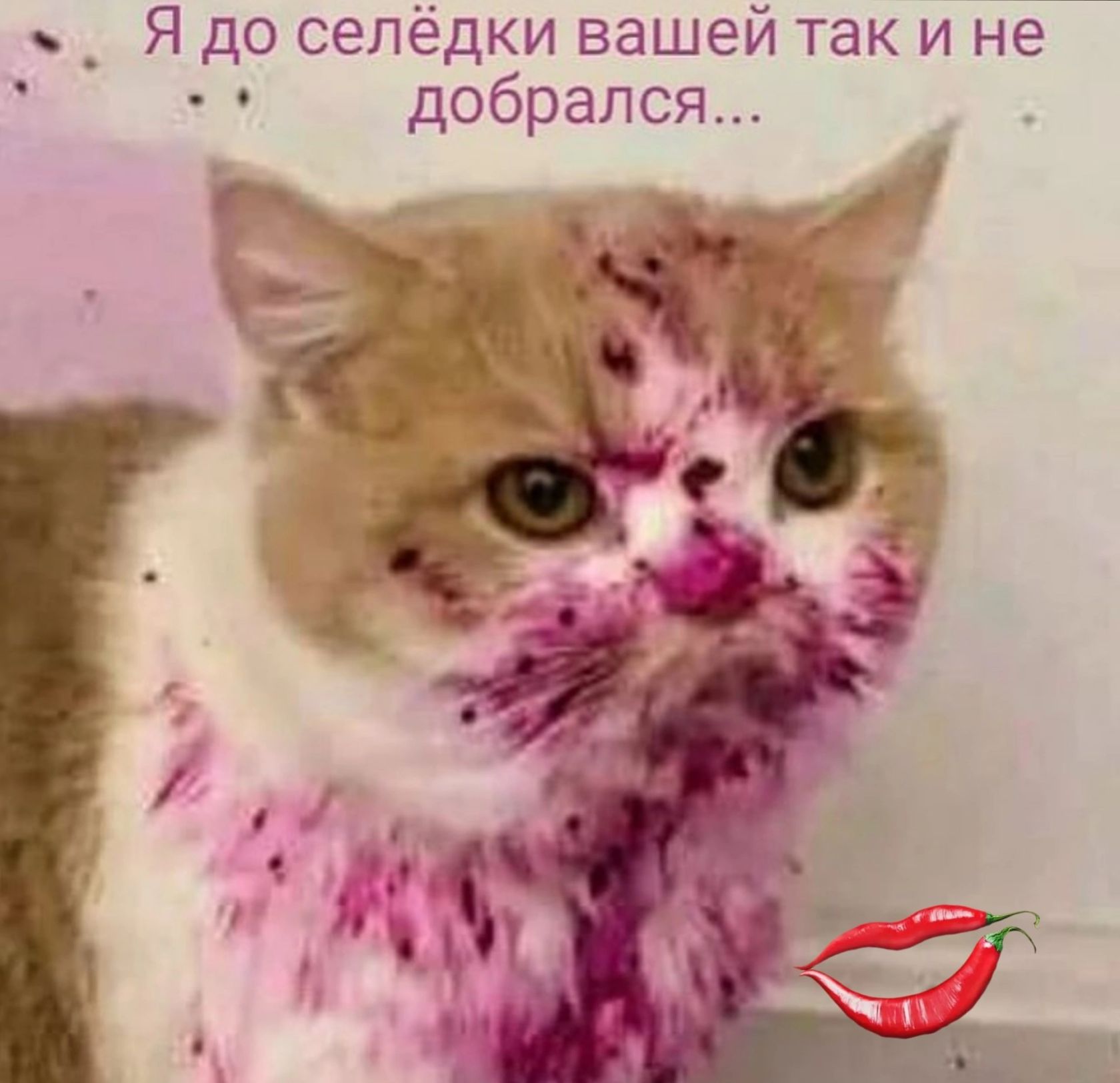 Я до селёдки вашей так и не добрался