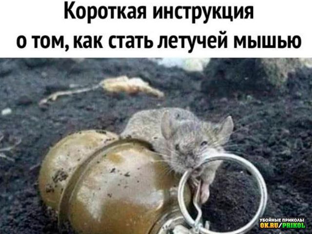 Короткая инструкция о том как стать летучей МЫШЬЮ