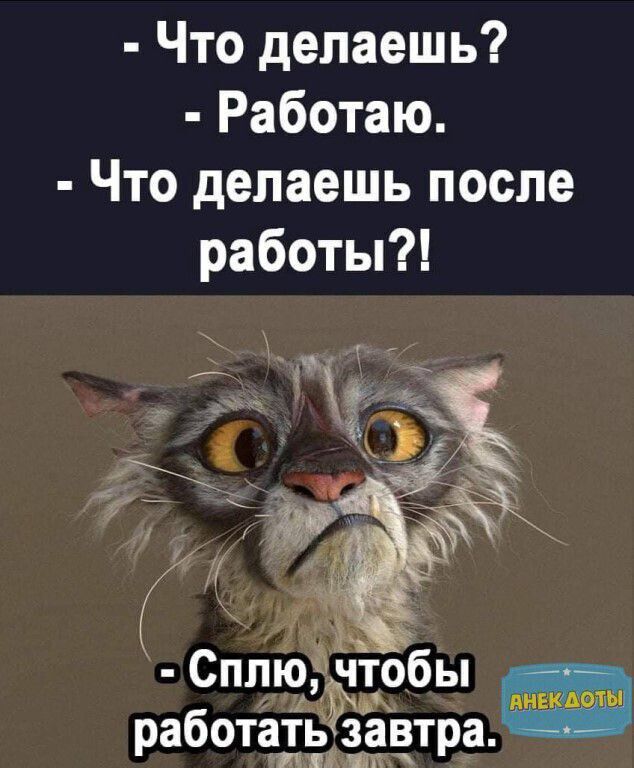 Что делаешь Работаю Что делаешь после работы Сп чтоыбы работётівтра эр Й ла