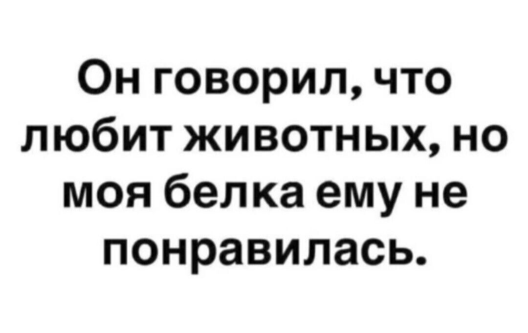 Он говорил что любит животных но моя белка ему не понравилась