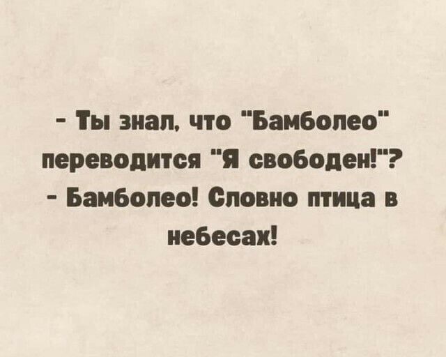 Ты знал что Бамболео переводится Я свободен Бамболео Словно птица в небесан