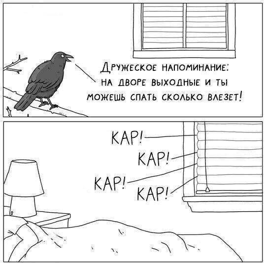 ДРУЖЕСКОЕ НАПОМИНАНИЕ НА ДВОРЕ ВЫХОДНЫЕ И ТЫ МОЖЕШЬ СПАТЬ СКОЛЬКО ВЛЕЗЕТ КАР