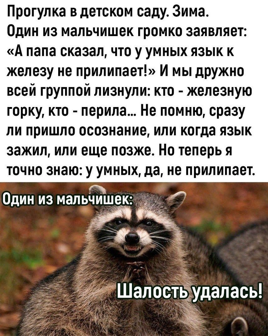 Прогулка в детском саду Зима Один из мальчишек громко заявляет А папа сказал что у умных язык к железу не прилипает И мы дружно всей группой лизнули кто железную горку кто перила Не помню сразу ли пришло осознание или когда язык зажил или еще позже Но теперь я точно знаю у умных да не прилипает гч Один из мальчишек б ьв Шалостыудалась З