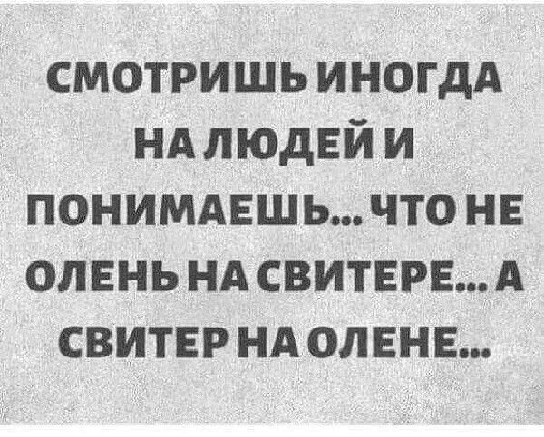 СМОТРИШЬ ИНОГДА НАЛЮДЕЙИ ПОНИМАЕШЬЧТО НЕ ОЛЕНЬ НА СВИТЕРЕ А СВИТЕР НА ОЛЕНЕ