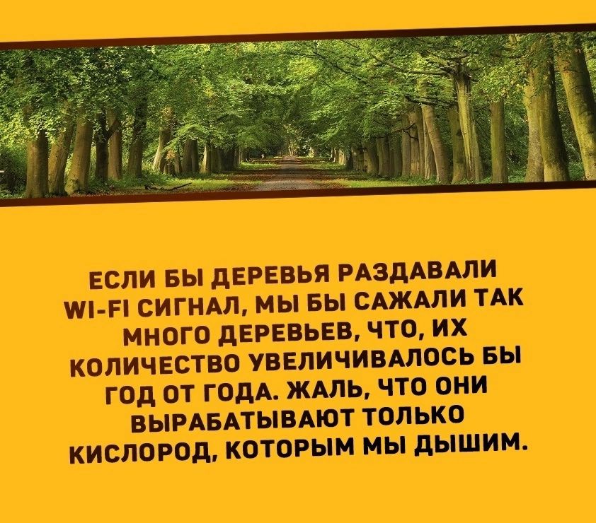 м В СИГНАЛ МЫ БЫ САЖАЛИ ТАК много КОЛИЧЕСТВО УВЕЛИЧИВАЛОСЬ БЫ