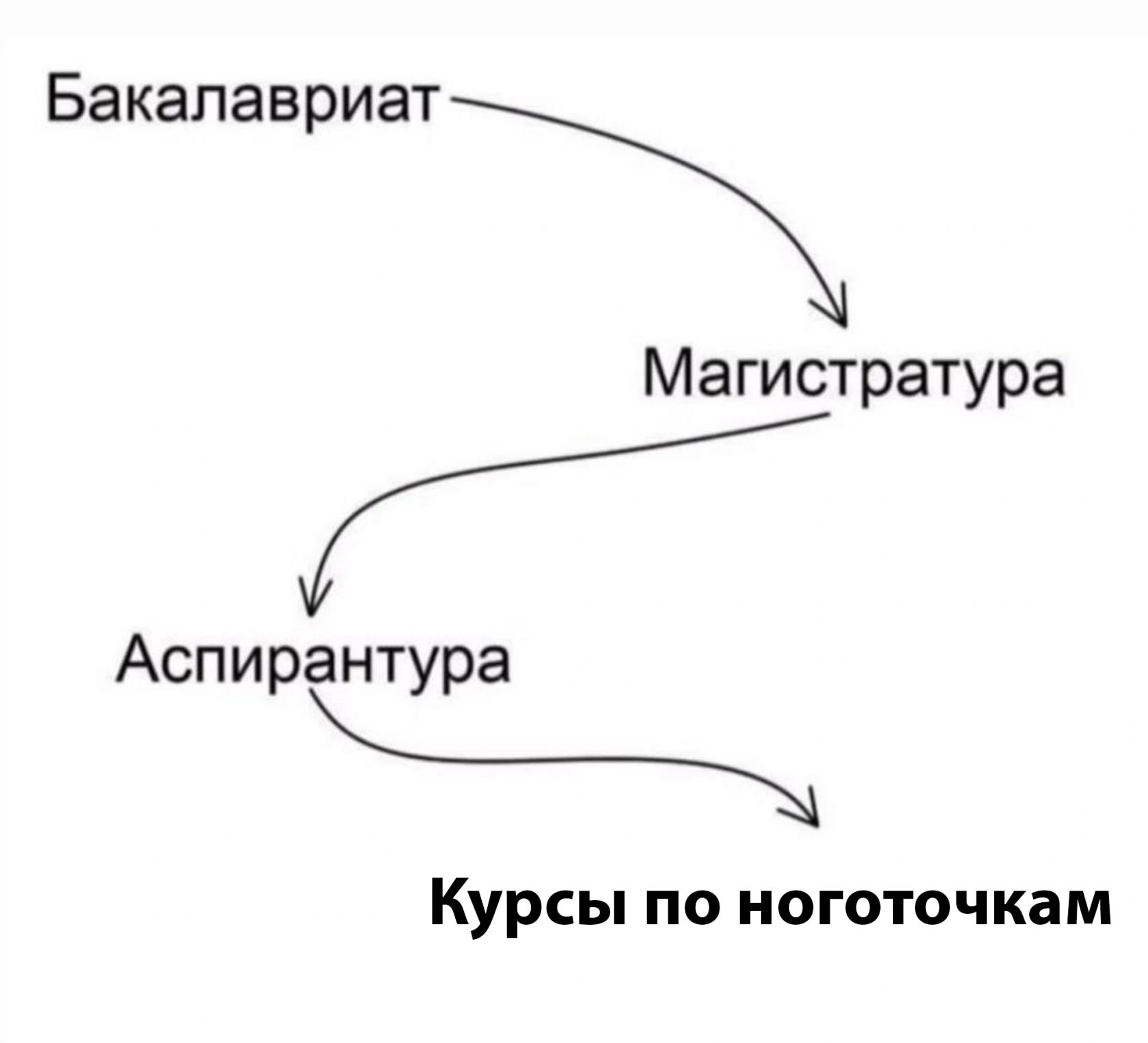 Бакапавриат Магистратура Аспирантура Курсы по ноготочкам